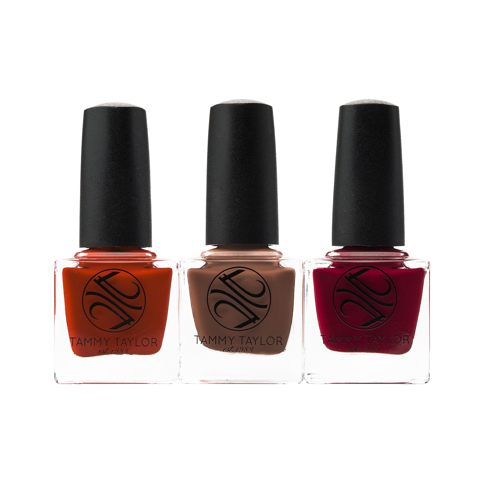 Tammy Taylor TTN Cozy Chic Nail Lacquer Bundle LCCC