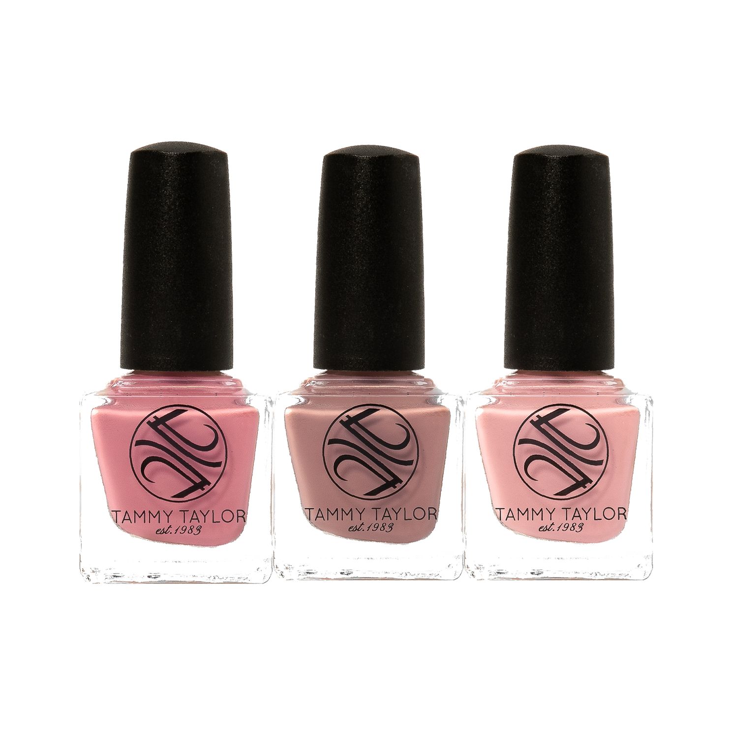 Tammy Taylor TTN Rock 'N Rose Nail Lacquer Collection Bundle LCRNR